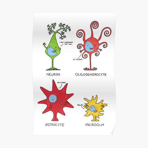 Meet your brain cells! - TALL Poster