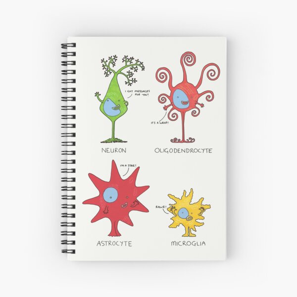 Rencontrez vos cellules cérébrales! - GRAND Cahier à spirale