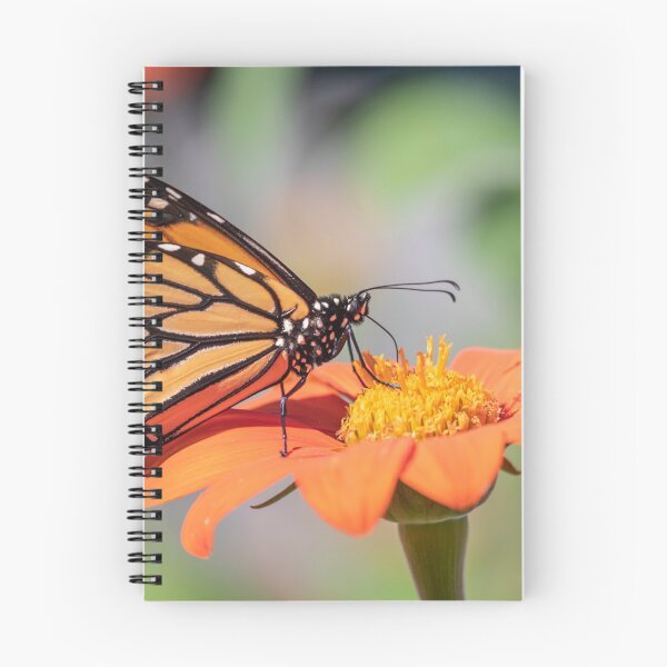 Item preview, Monarch 2018-25 designed and sold by Thomasyoung.