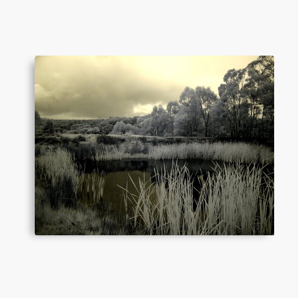 Back to Steiglitz - the darkIR mIRe does inspIRe Canvas Print
