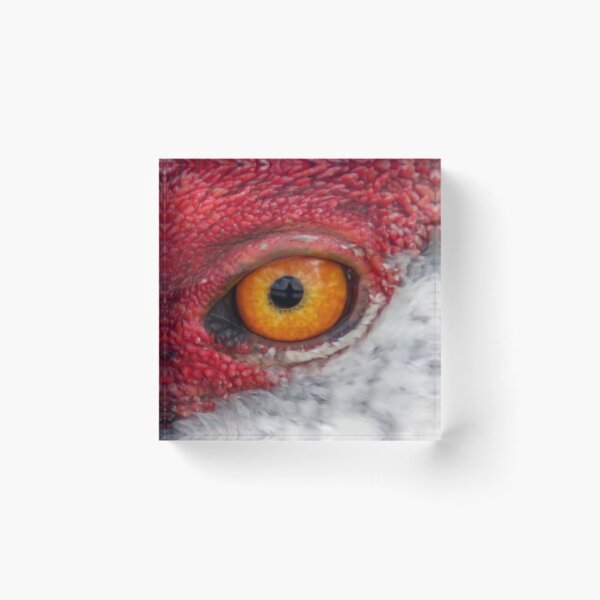 Item preview, Sandhill crane eye designed and sold by Zina Stromberg.