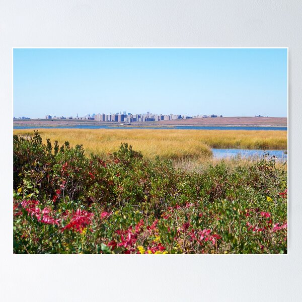 Item preview, Jamaica Bay Wildlife Refuge designed and sold by Dandelion Dilluvio.
