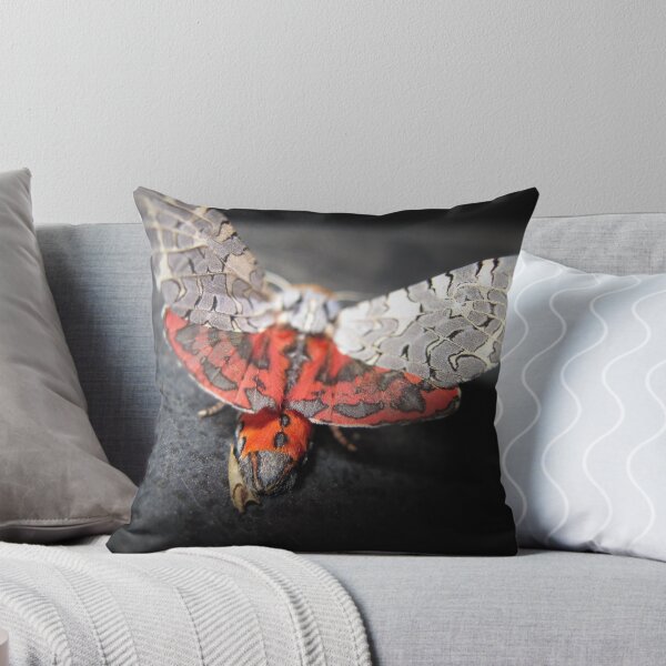 Item preview, Another View of "  My Little Friend" designed and sold by ellamental.
