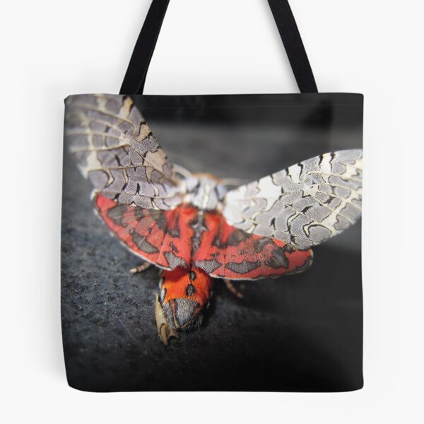 Item preview, Another View of "  My Little Friend" designed and sold by ellamental.