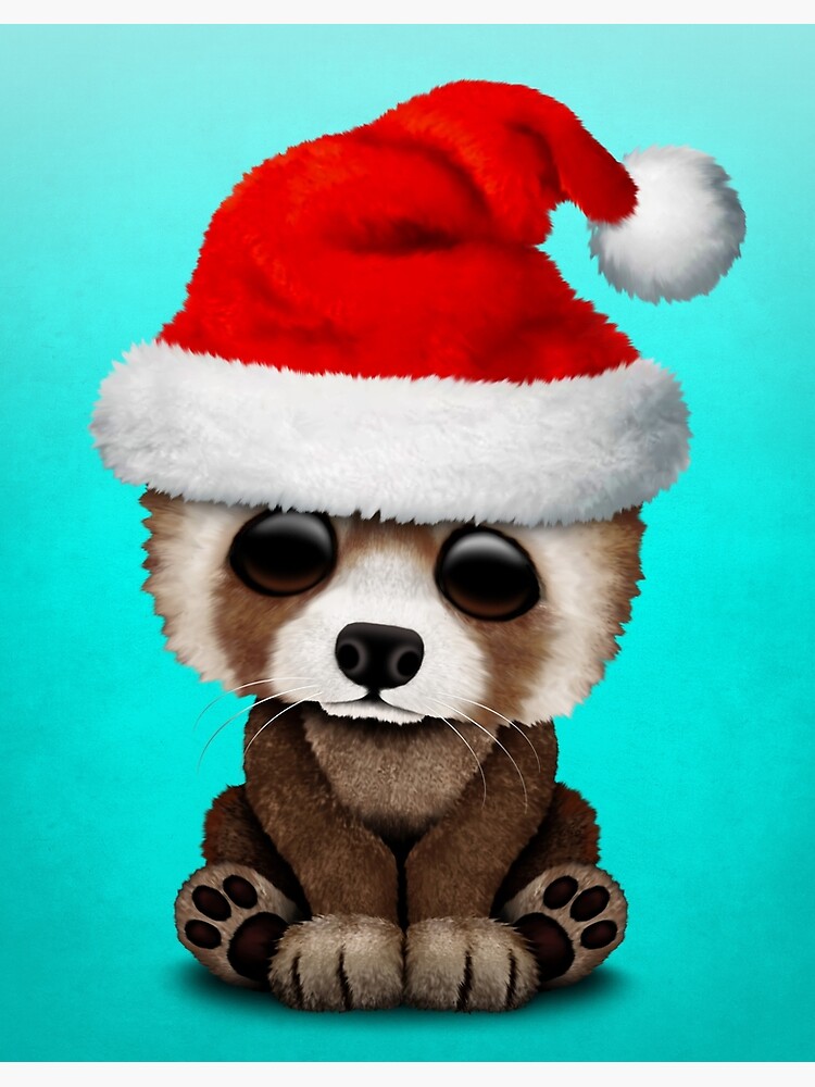 red panda with santa hat