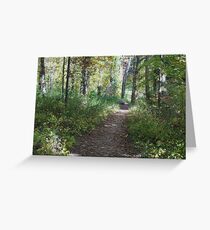 Peaceful Path Greeting Card