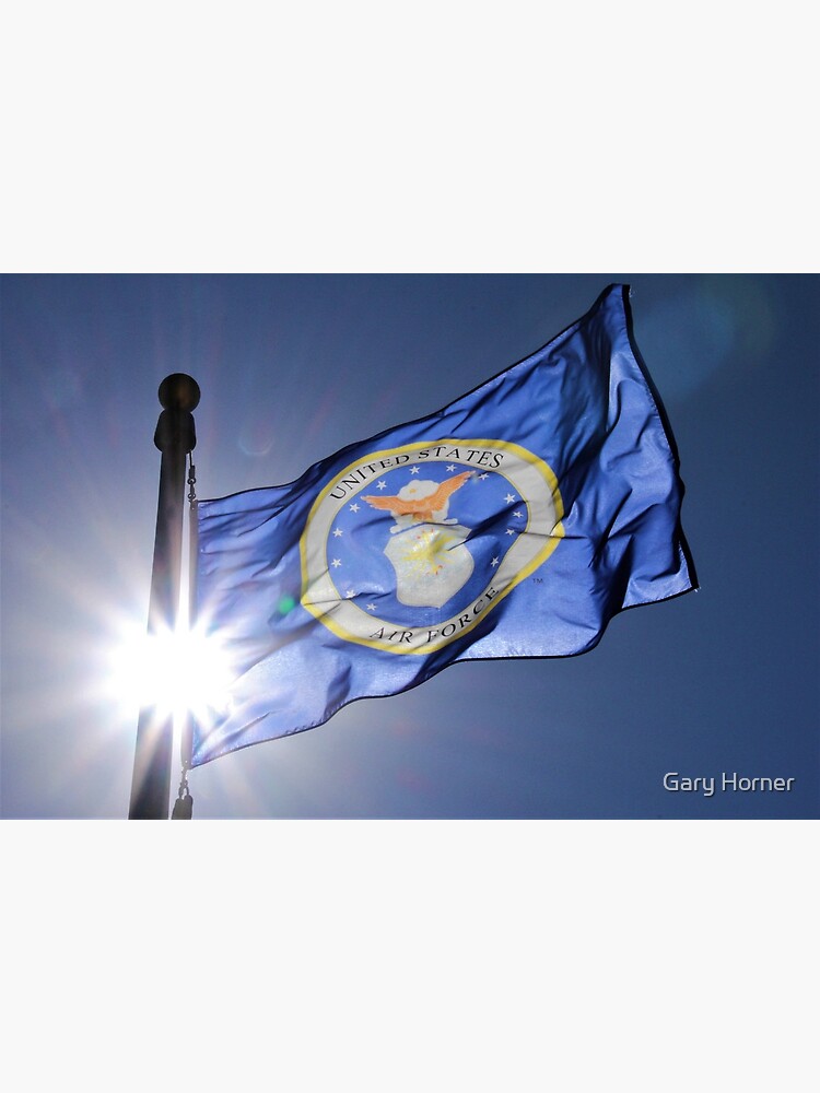 United States Air Force Flag by stilgar