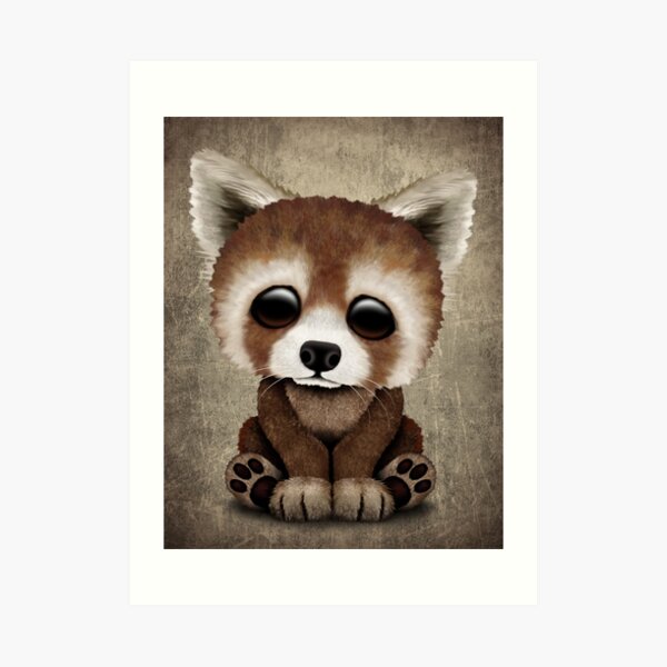 Cute Baby Red Panda Art Print By Jeffbartels Redbubble