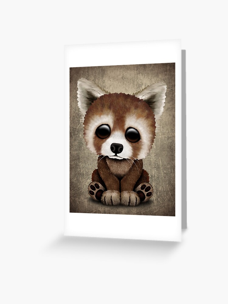 Cute Baby Red Panda Greeting Card For Sale By Jeffbartels Redbubble