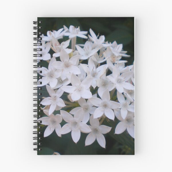Item preview, Pentas Lanceolata  designed and sold by Asiantiger247.