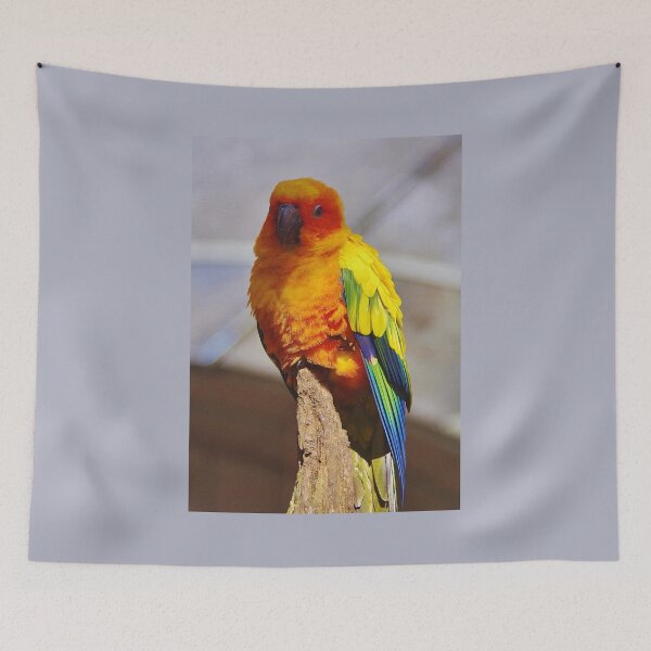 Item preview, Sun Parakeet (Aratinga solstitialis) designed and sold by lezvee.