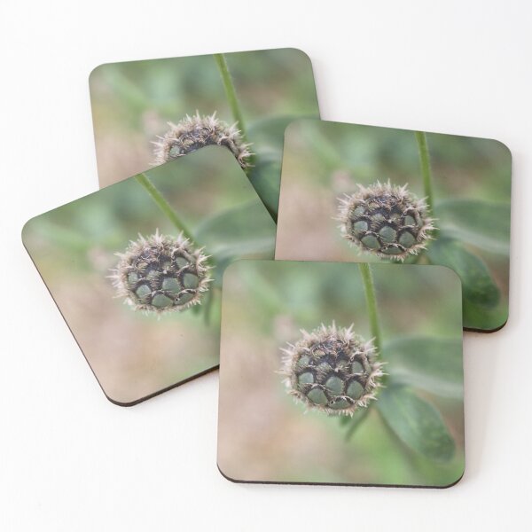 Item preview, Photography Close-up of a closed cornflower designed and sold by PM-Artistic.