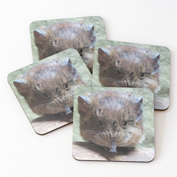 Item preview, Elephant Shrew Lookin at You designed and sold by Yampimon.