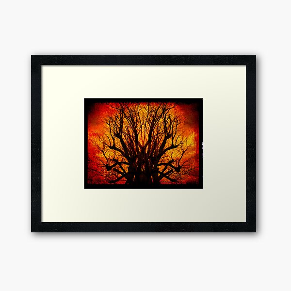 Wow Framed Art Print