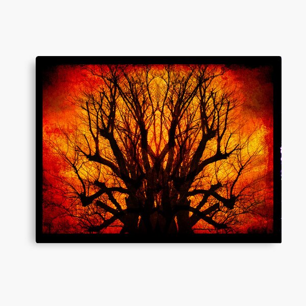 Wow Canvas Print