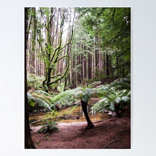 Item preview, Amongst The Giants designed and sold by Keith Irving.