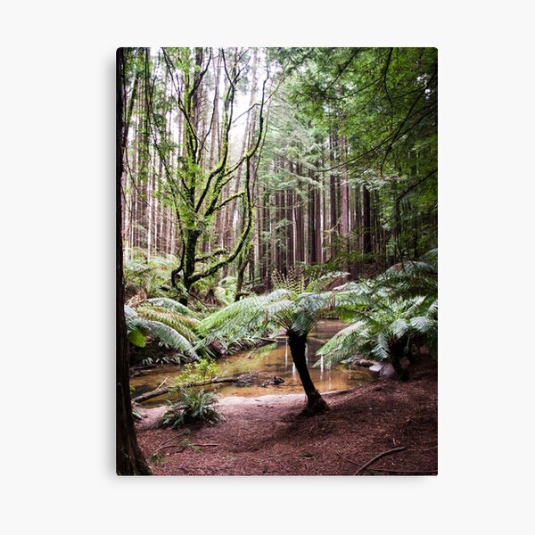 Item preview, Amongst The Giants designed and sold by Keith Irving.
