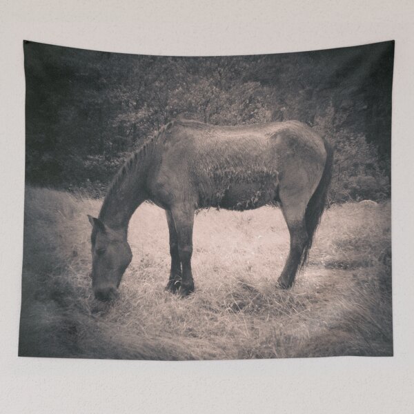 Item preview, 2015 Cavallo al pascolo #02 designed and sold by robertoferrero.