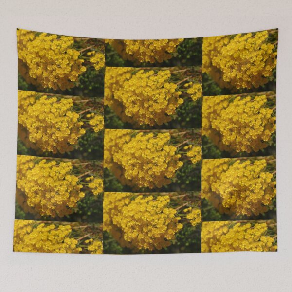 Item preview, Verticordia nitens  designed and sold by lezvee.