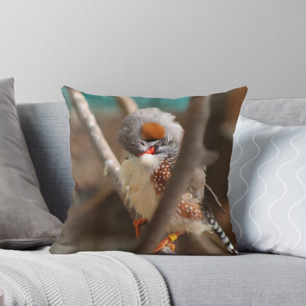 Item preview, Male Zebra Finch designed and sold by Snofpix.