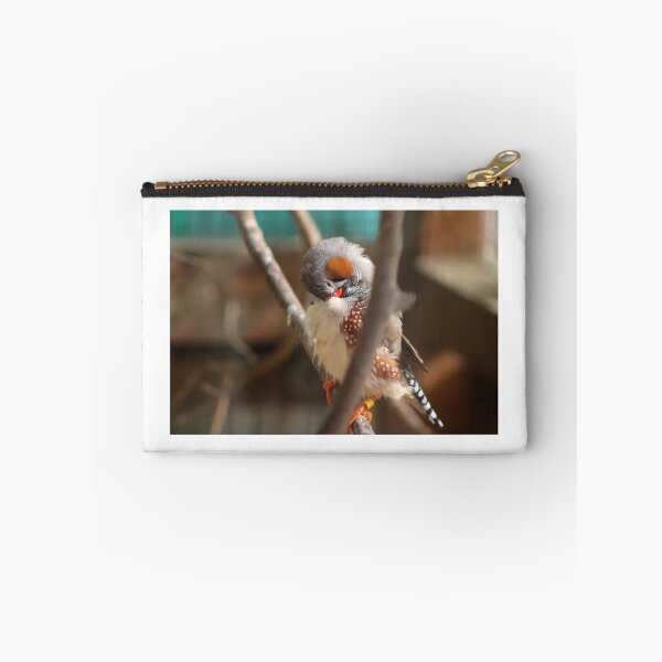 Item preview, Male Zebra Finch designed and sold by Snofpix.