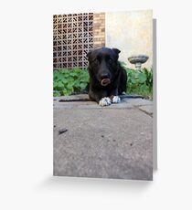 Zoe Greeting Card