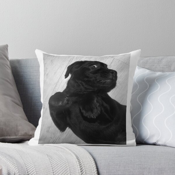 Item preview, Cuddle - or I'll kill you!   designed and sold by Ianua.