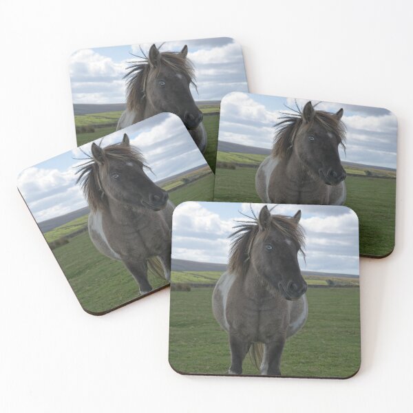 Item preview, Blue Eyed Dartmoor Pony designed and sold by rawshutterbug.