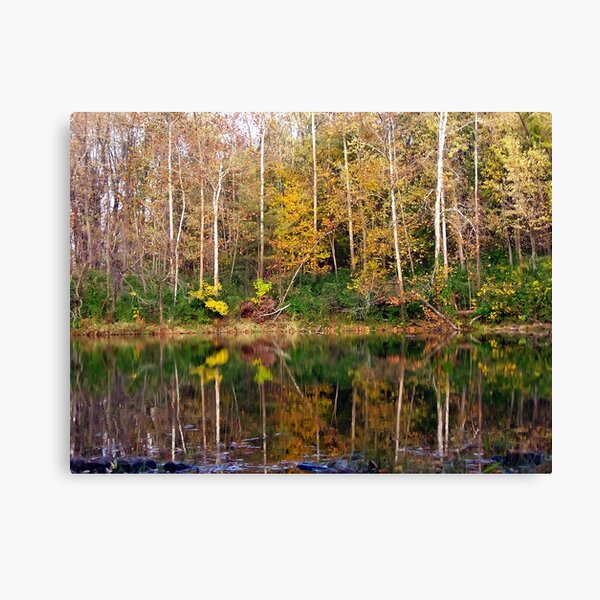 Pond Reflections Canvas Print