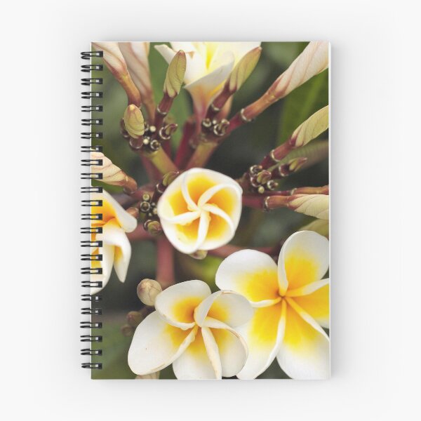 Item preview, Queensland Frangipani designed and sold by MagsArt.