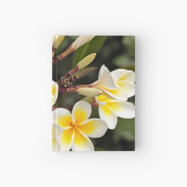 Queensland Frangipani Hardcover Journal