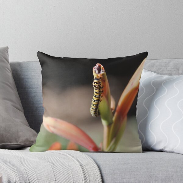 Item preview, African Monarch Caterpillar designed and sold by Snofpix.