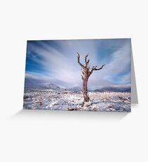 Rannoch moor tree Greeting Card