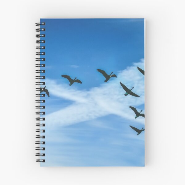 Item preview, Scottish Geese? designed and sold by Colin Metcalf.