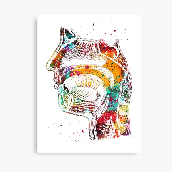 Respiratory system Canvas Print