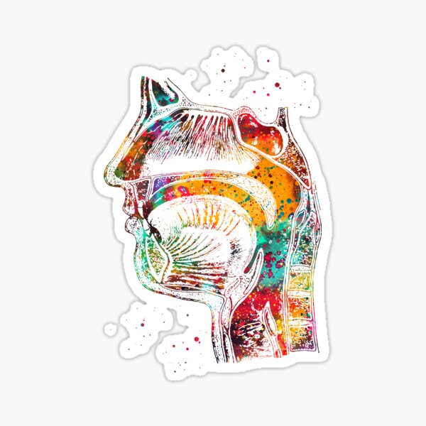 Respiratory system Sticker