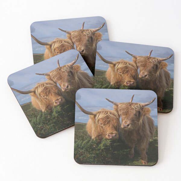 Item preview, Highland Cows designed and sold by rawshutterbug.