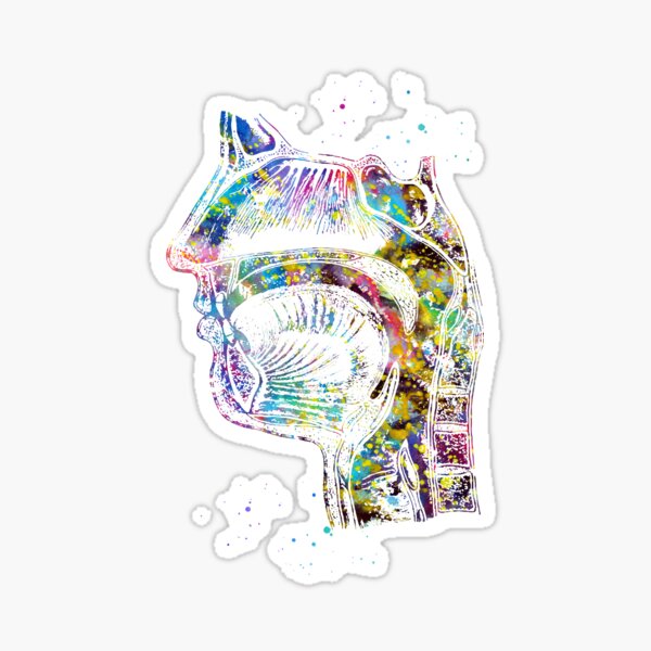 Respiratory system Sticker