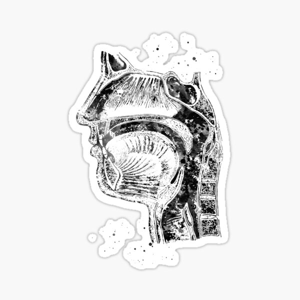 Respiratory system Sticker