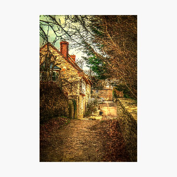 Along A Lane Photographic Print