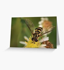 Damaged Greeting Card