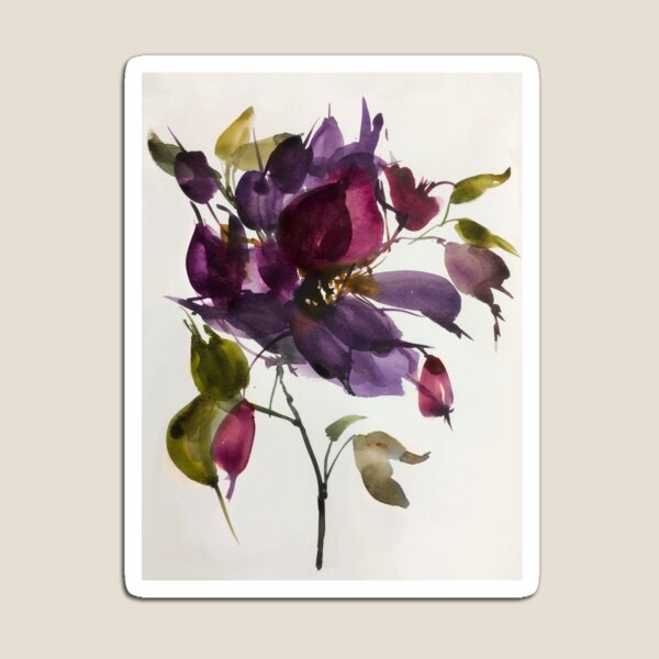 Clematis Magnet