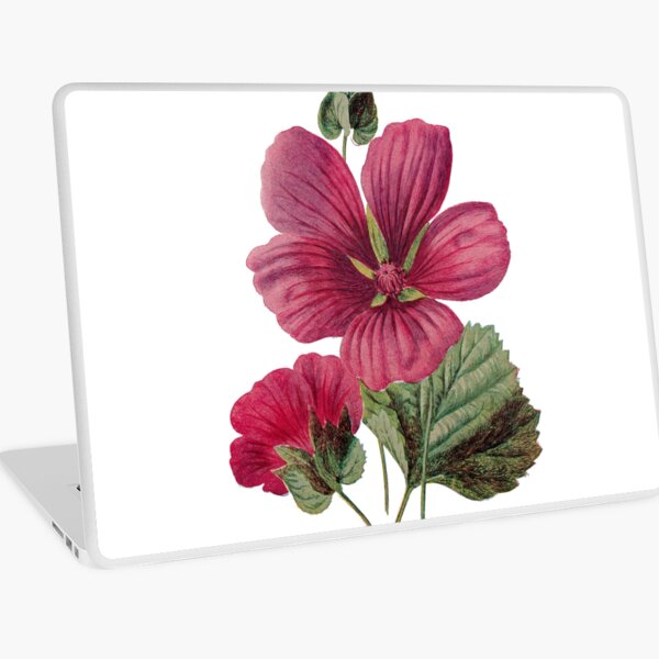 Crimson Mallow Print, Original Flower Print, Botanical Antique, Antique prints, Old print, Crimson Mallow Wall art, Crimson Mallow Flower, Botanical Prints Laptop Skin
