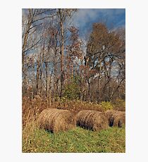 Hay Bales 1 Photographic Print