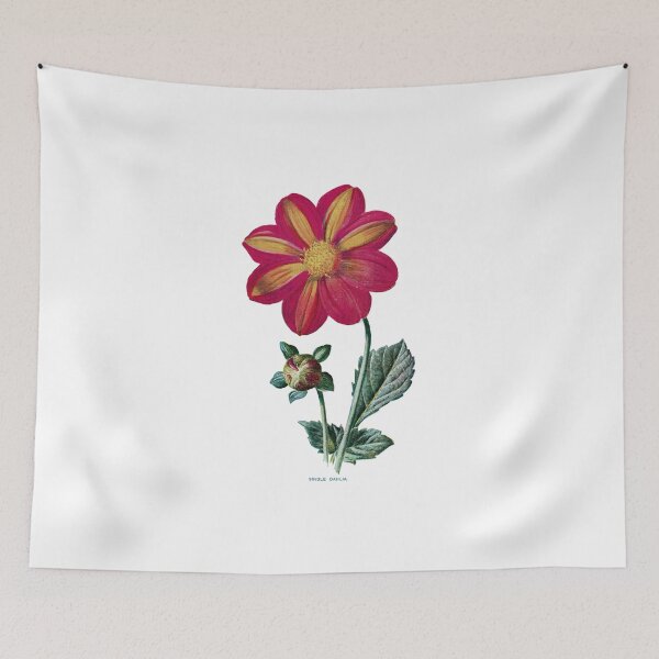 Item preview, Single Dahlia Print, Original Flower Print, Botanical Antique, Antique print, Single Dahlia Wall art, Single Dahlia Flower, Botanical Prints designed and sold by Studio66Designs.