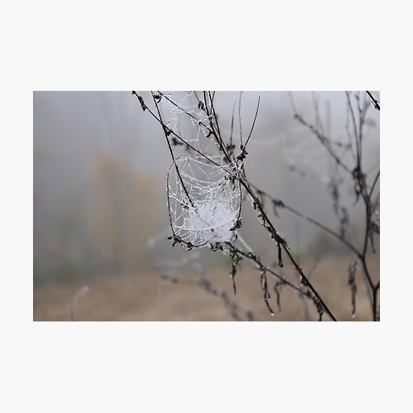 Item preview, Foggy Mountain Breakdown designed and sold by Ann Eldridge.