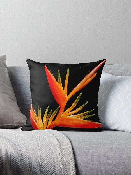 Bird Of Paradise Pillows Cushions for Sale Redbubble