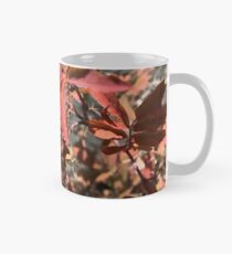 Rosier sauvage en automne 2 Mug classique
