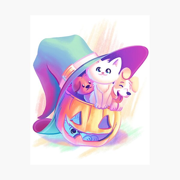 A Witch's Halloween Photographic Print