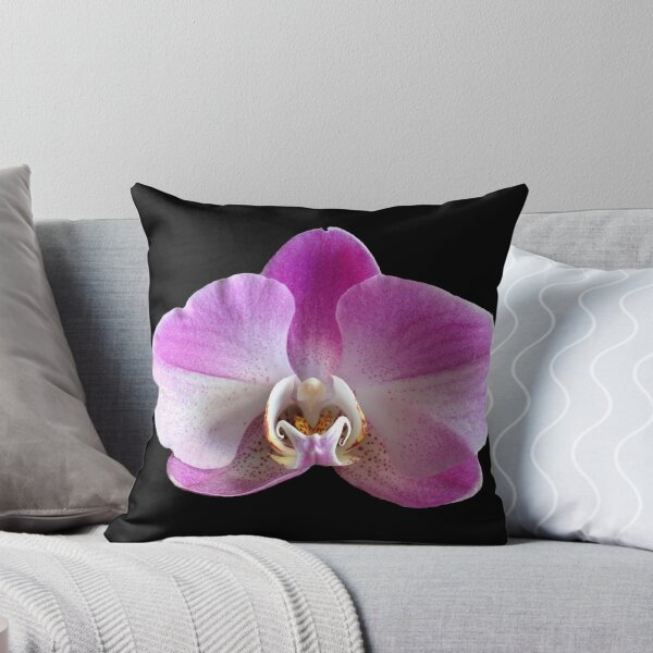 Item preview, Philaneopsis Orchid  designed and sold by Ness Bay.